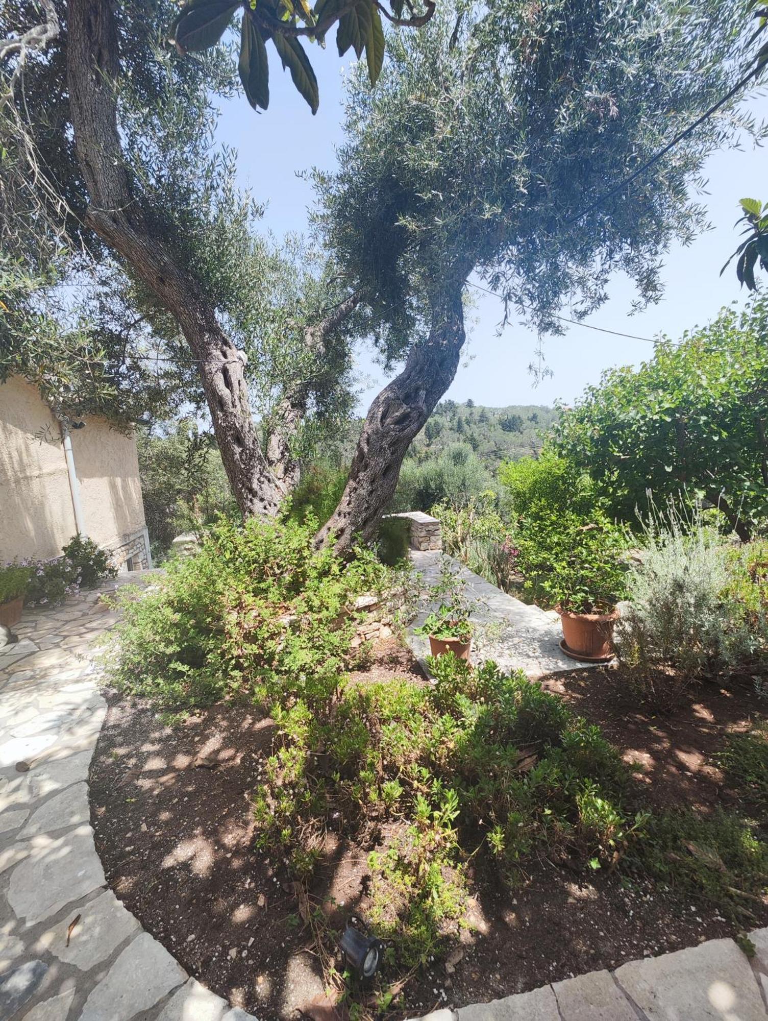 Rania'S Cottage Lákka Екстериор снимка